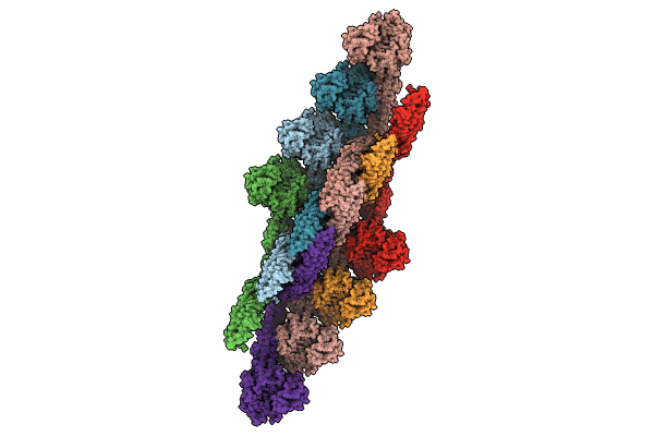 9EM7 image