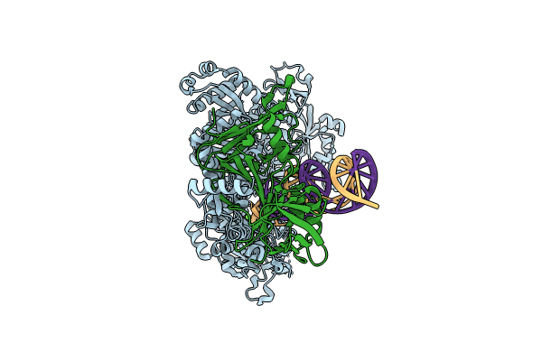 9ENP image
