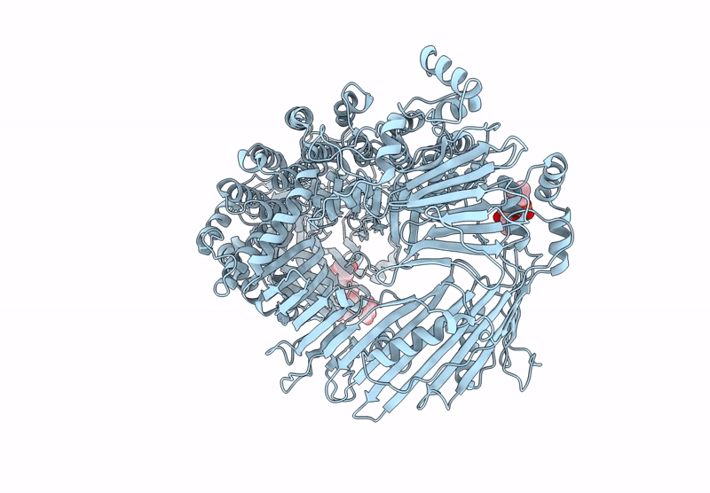 9ENR image