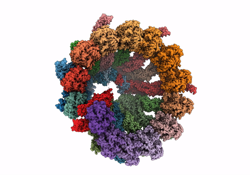 9EOJ image