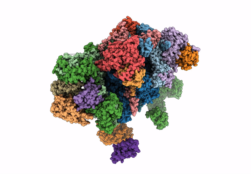 9EPC image