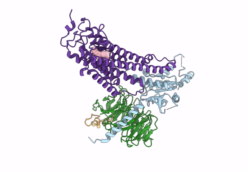 9EPR image