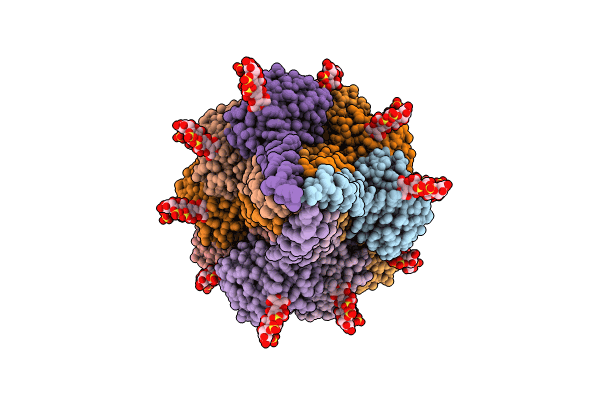 9EQ7 image