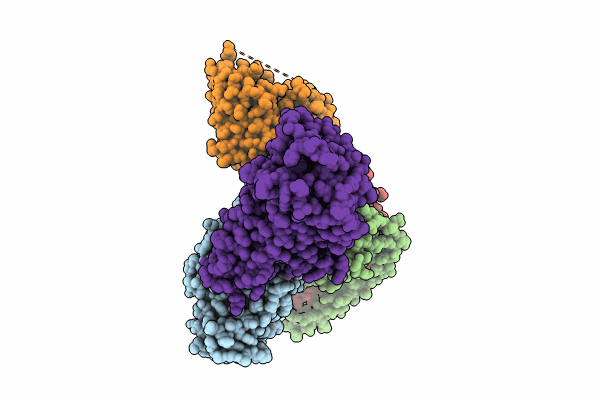 9ERX image