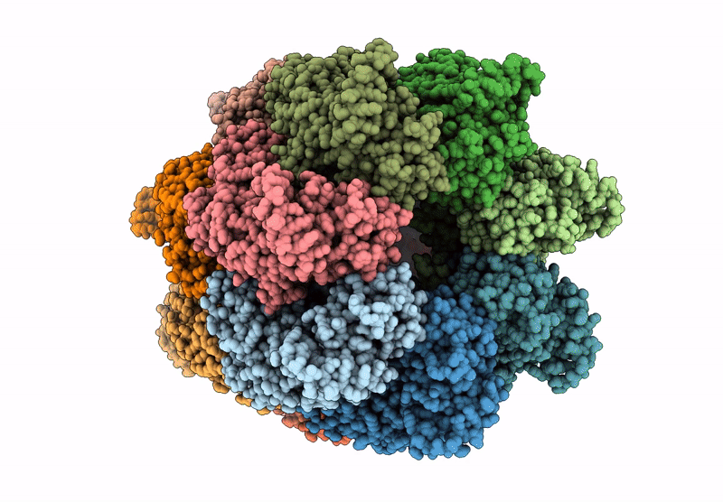 9ES2 image