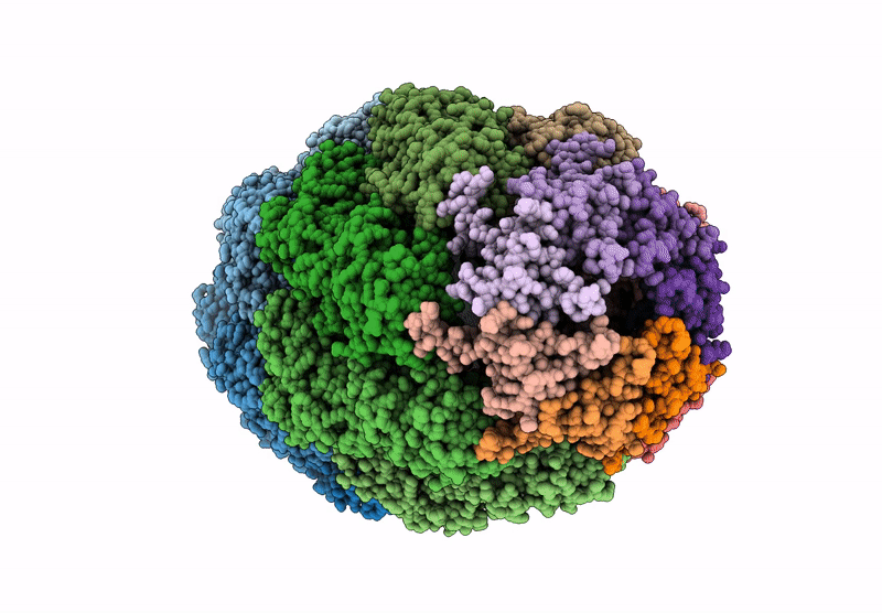 9ES4 image