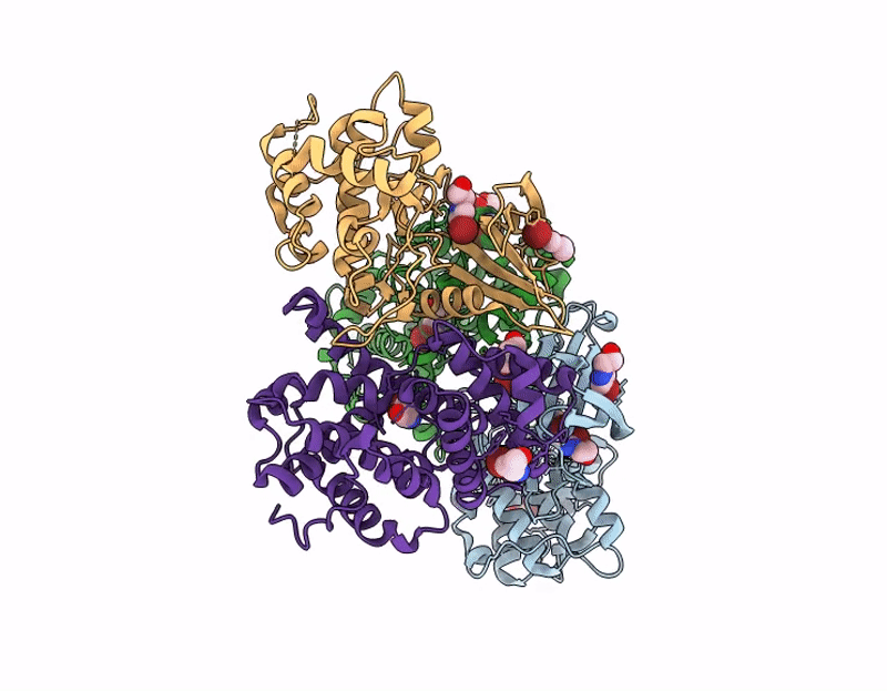 9ESR image