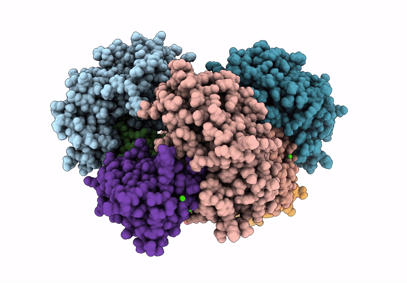 9ETJ image