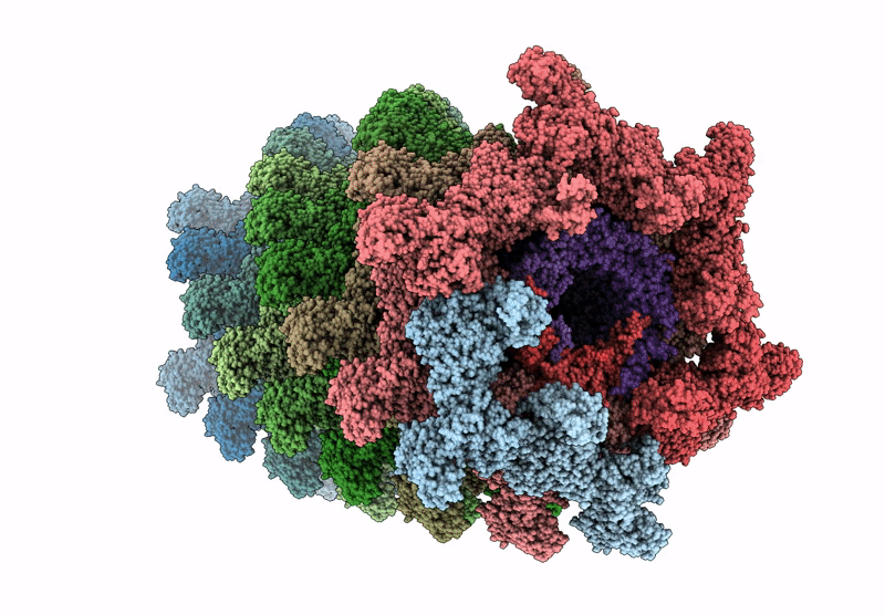 9EV2 image