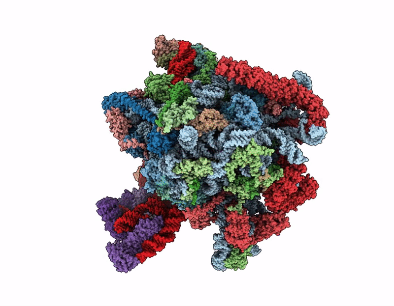 9EVS image