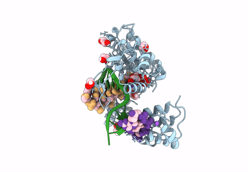 9EWB image