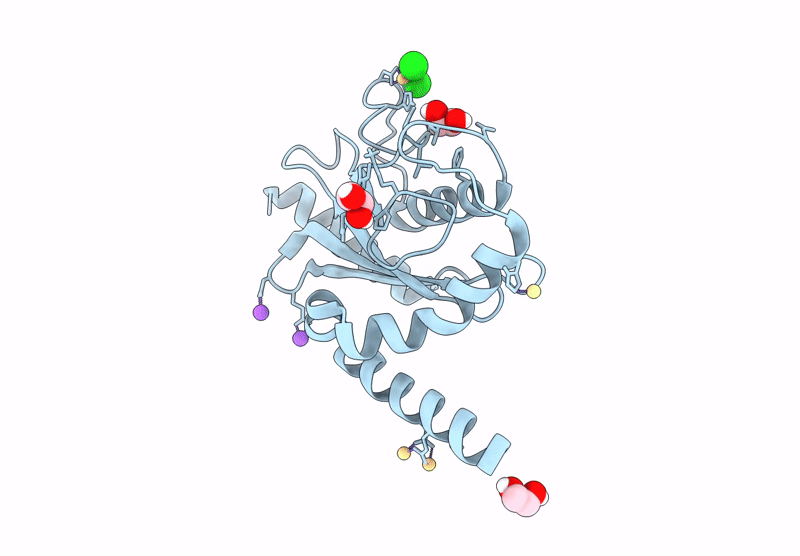 9EWP image