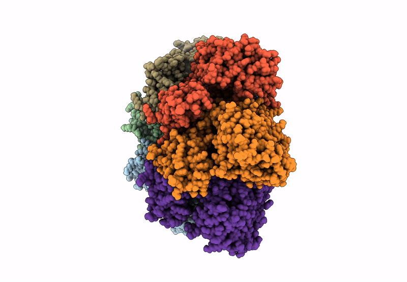 9EXD image