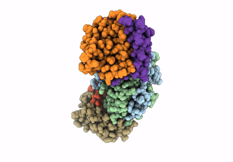9EXV image