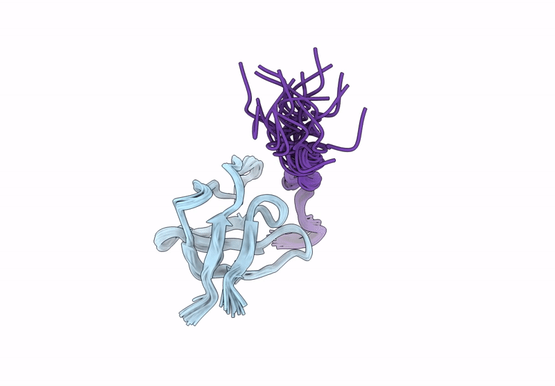 9EZP image