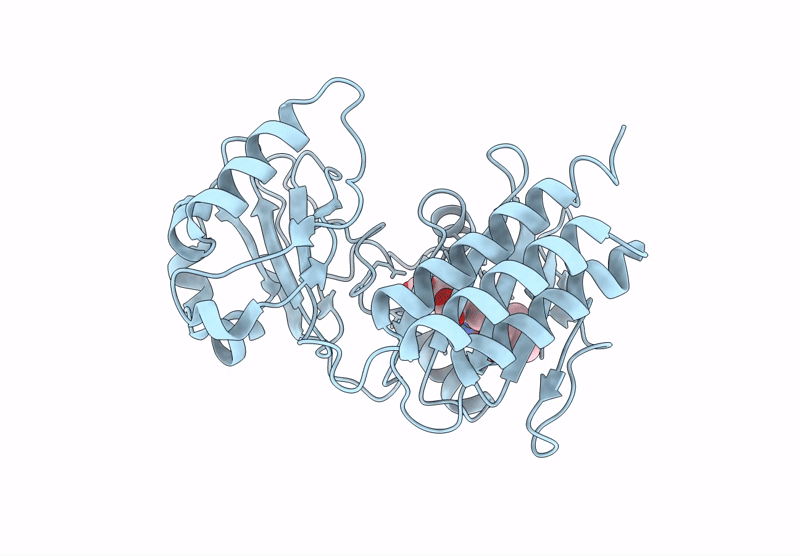 9F03 image