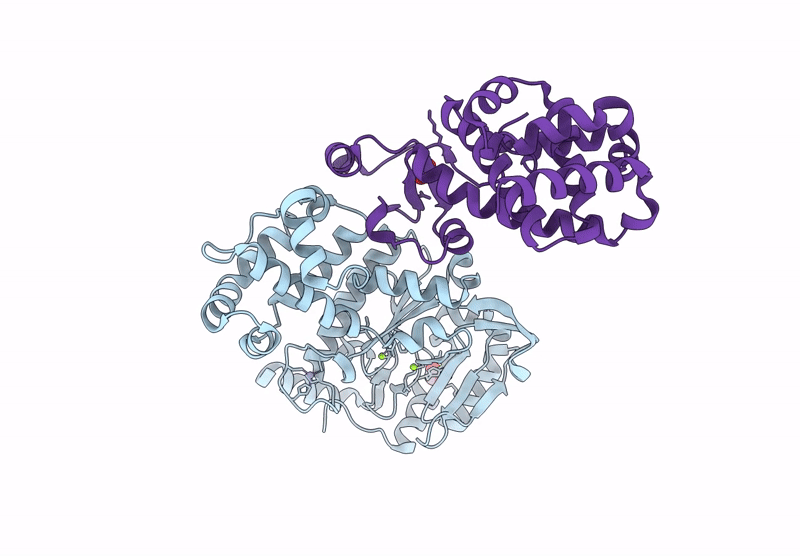 9F28 image