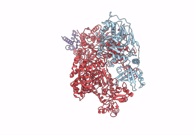 9F29 image