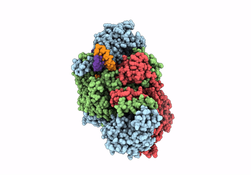 9F2R image