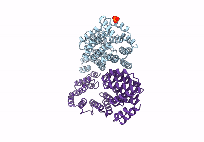 9F36 image