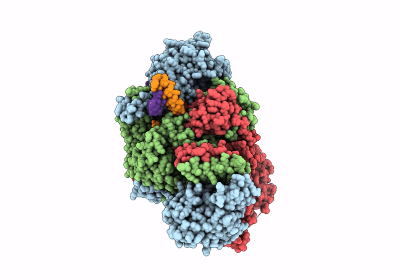 9F37 image