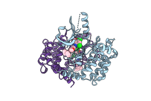 9F3V image