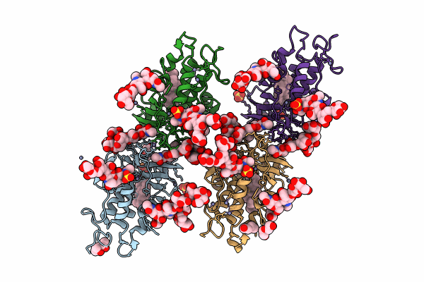 9F41 image