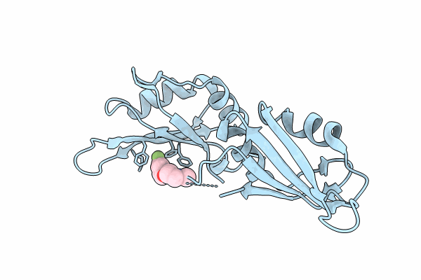 9F4P image