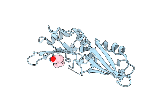 9F4W image