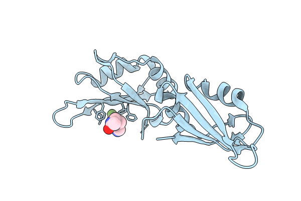 9F4X image
