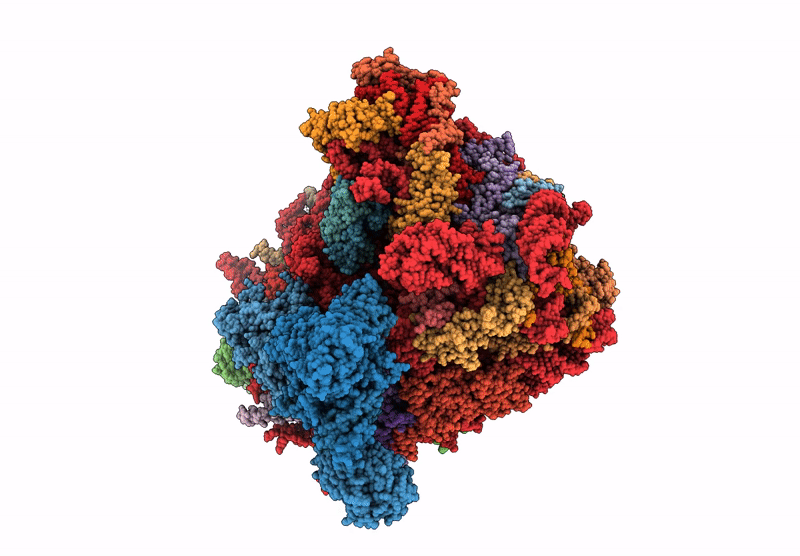 9F58 image