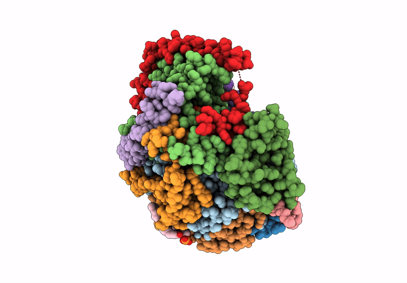 9F60 image