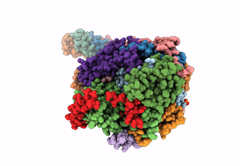 9F61 image