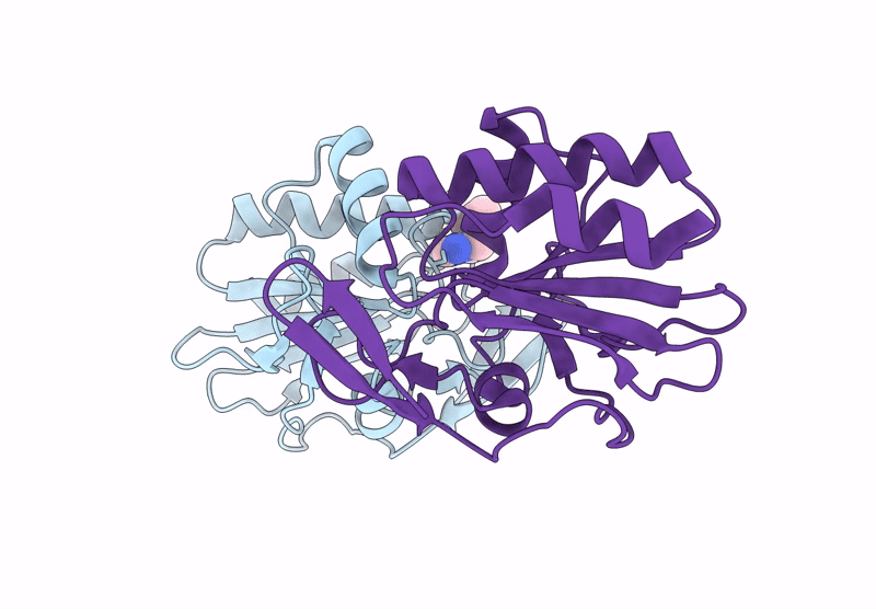 9F65 image