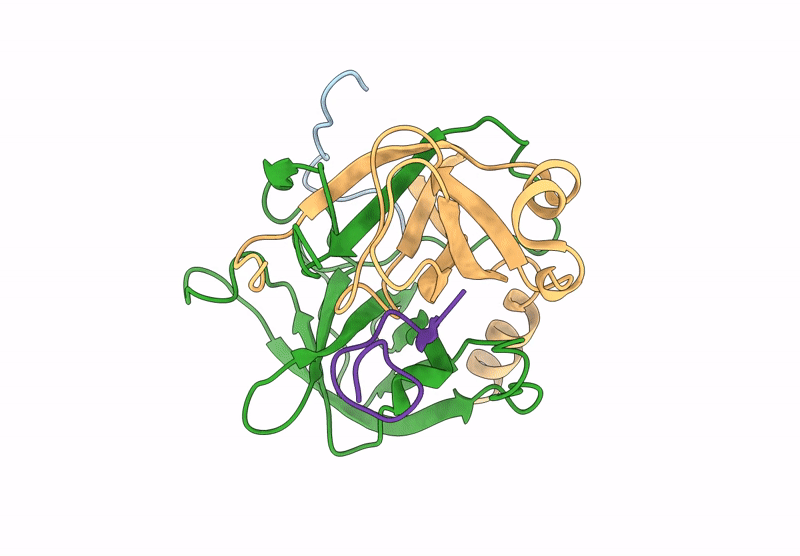 9F6H image