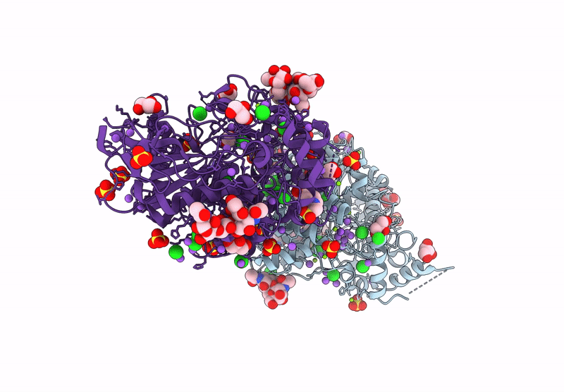 9F6R image