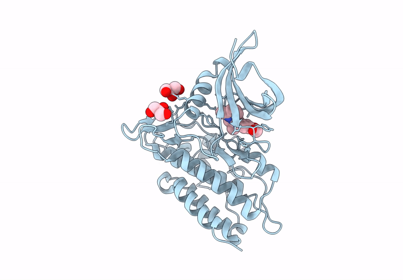 9F6X image
