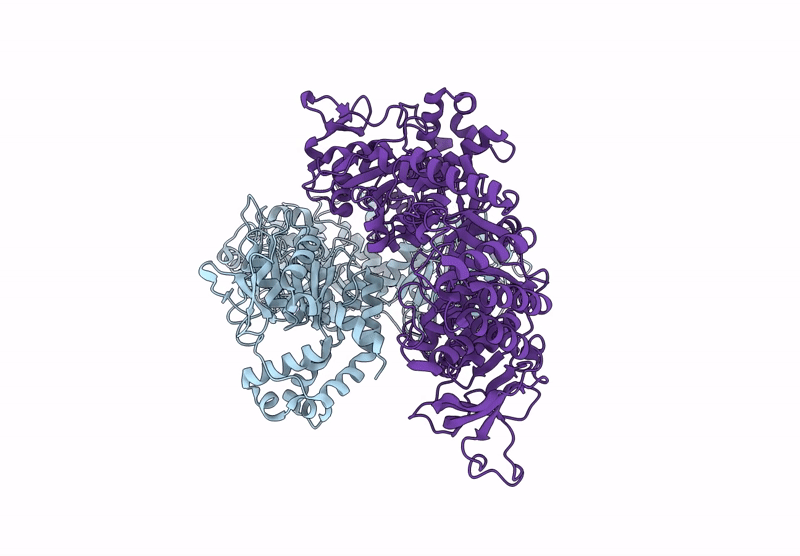 9F6Z image