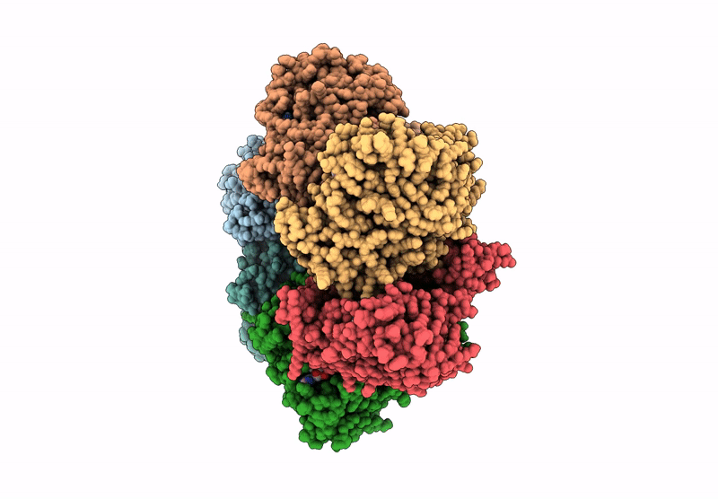9F75 image