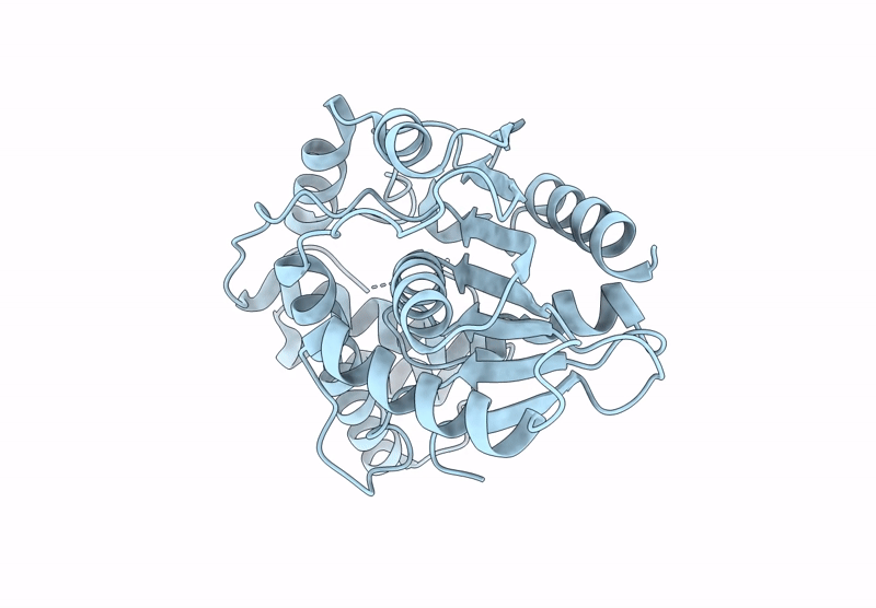 9F7B image