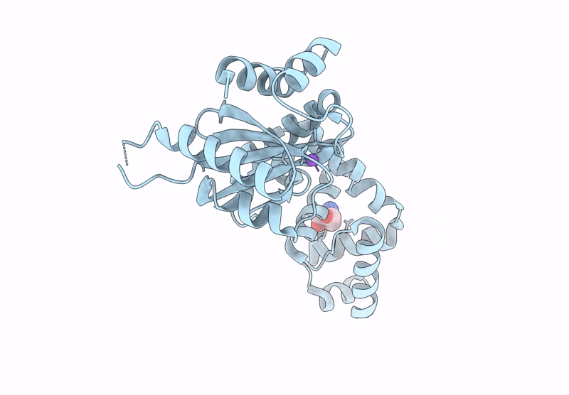 9F80 image