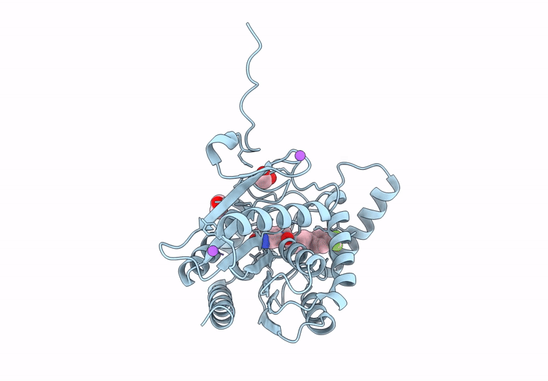 9F8C image