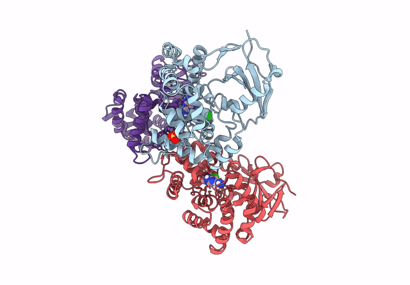 9F8Z image