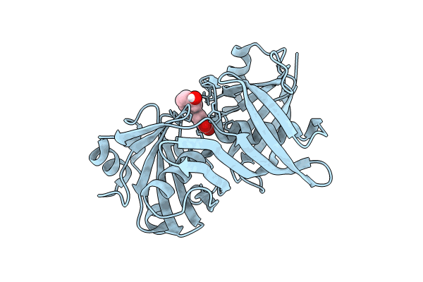 9F95 image