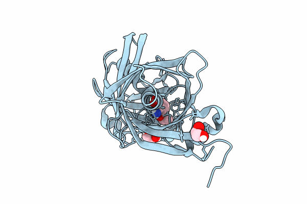 9F96 image
