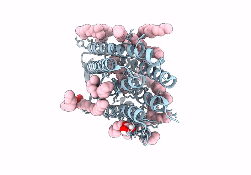 9F9B image