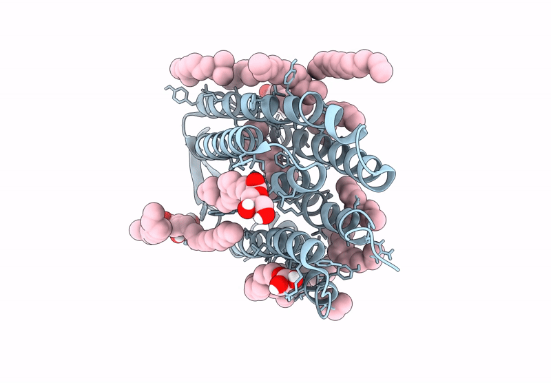 9F9H image