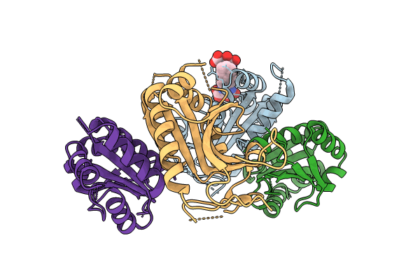 9F9K image