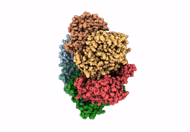 9F9N image