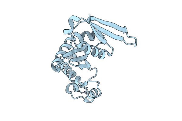 9F9U image